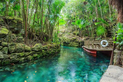 Xcaret Park Review: Is This Eco